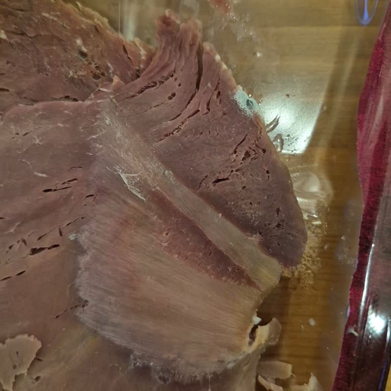 Migros’ta Kapalı Pakette Küflenmiş Özlem Füme Kaburga