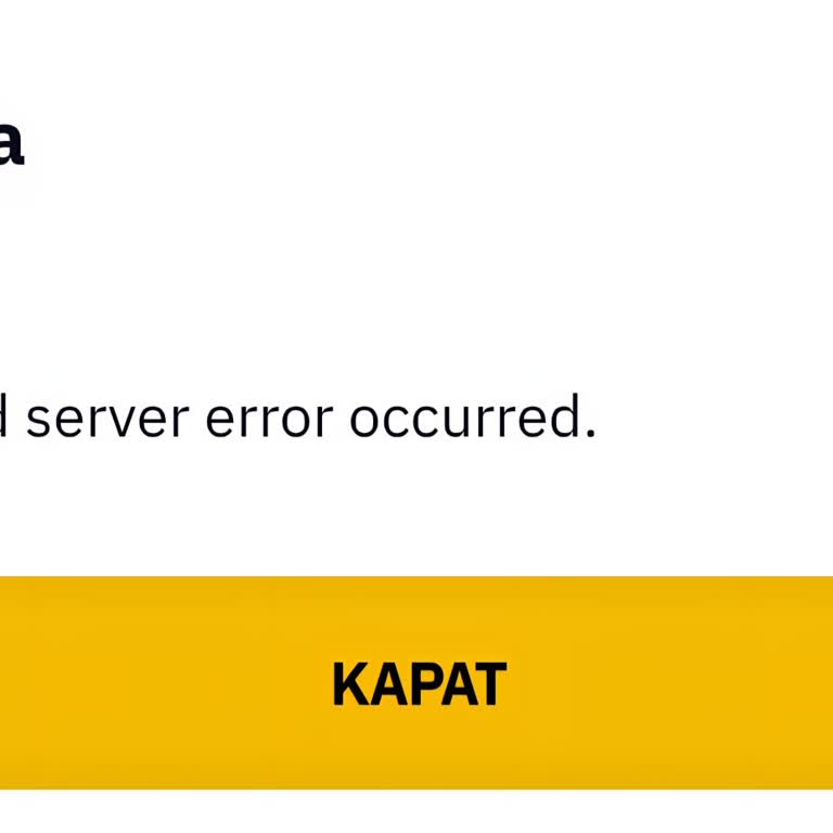 Sunucu Hatası Nedeniyle Hesaba Erişilemiyor Ve Gümüş Varlığı Belirsiz
