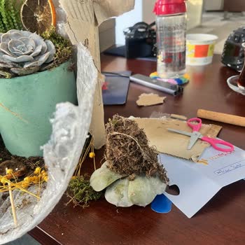 Taze Çiçek | tazecicek.com Şikayeti