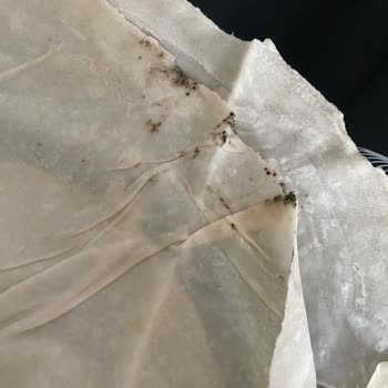 Migros Hemen'den Küflü Yufka Teslim Alındı, Müşteri Hizmetlerinden Cevap Gelmedi