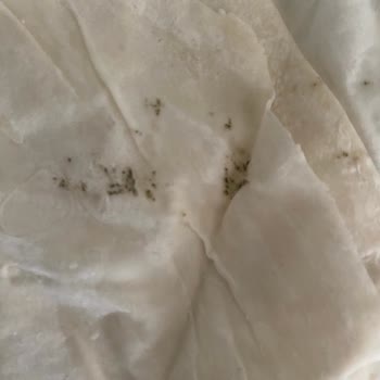 Migros Hemen'den Küflü Yufka Teslim Alındı, Müşteri Hizmetlerinden Cevap Gelmedi