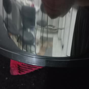 Fissler Resmi Sitesinden Alınan Düdüklü Tencere Çizik Gelmesi Ve İade Reddi