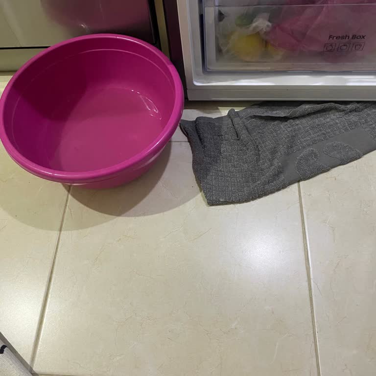 Buzdolabının Su Sızdırması Ve Servis İhmali Nedeniyle İade Talebi