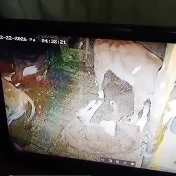 Hikvision Türkiye Kamera Renk Gösteriyor!