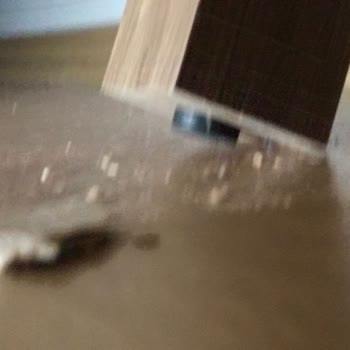 Kelebek Mobilya Çalına Yataklı Bazada Ayak Kırılması Ve Servis Gecikmesi, Tam Değişim Talebi