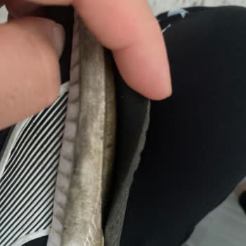 İki Ayda İç Astarı Yırtılan Puma Ayakkabısına Garanti Reddi Ve Mağduriyet