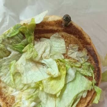 Burger King Batman Şubesinde Hamburgerde Salyangoz Ve Gıda Güvenliği Sorunu