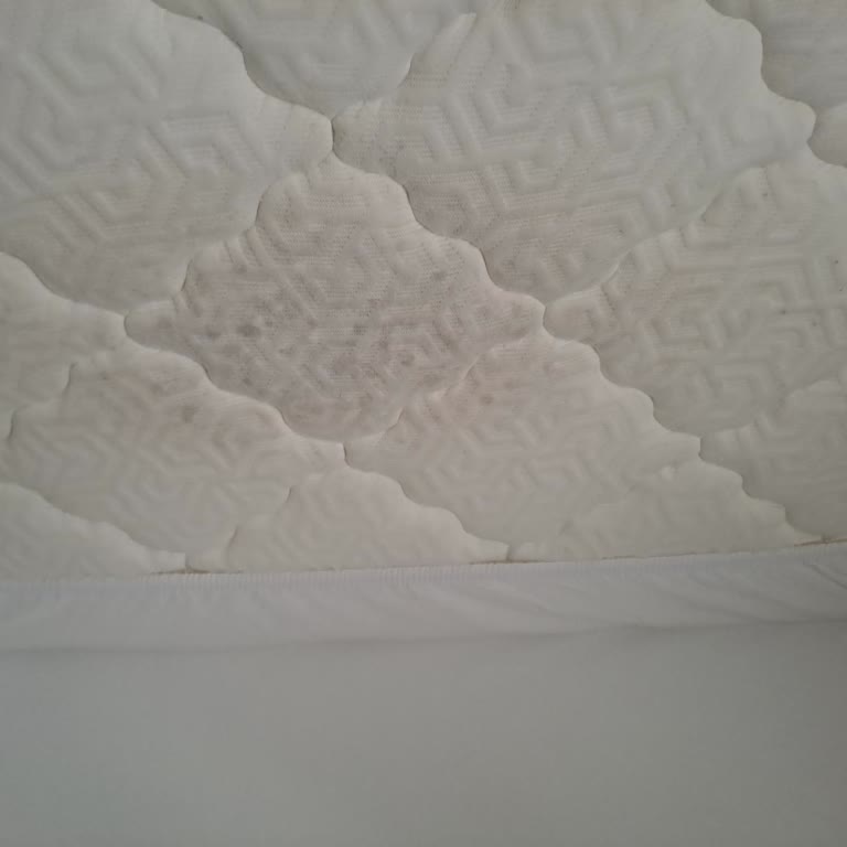 Küflenen Çocuk Yatağına Ücretsiz Değişim İstiyorum