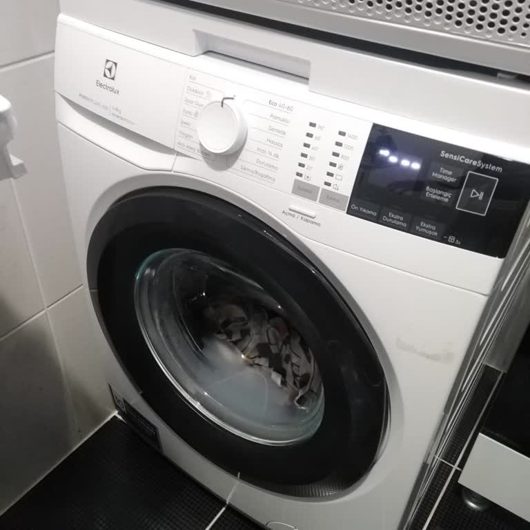 Electrolux Perfectcare 600 Çamaşır Makinesinin Sürekli Kendiliğinden Sıfırlanması