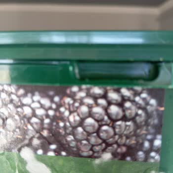 Migros Mağazasından Açılmış Böğürtlen Ürünü İçin Değişim Ve İade Talebi