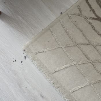 Roborock S8 Performans Sorunları Ve Servis İhmali İade Talebi