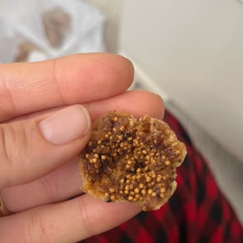 Kuru İncirde Kurumuş Böcekler Sağlık Ve Hijyen Endişesi Yaratıyor