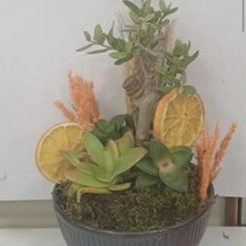 Yanlış Ürün Gönderildiği İçin İptal Ve Tam İade Talebi