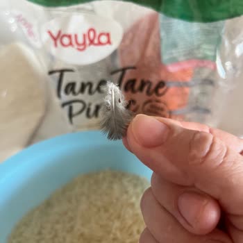 Yayla Pirinç Paketi İçinde Kuş Tüyüne Benzeyen Yabancı Cisim