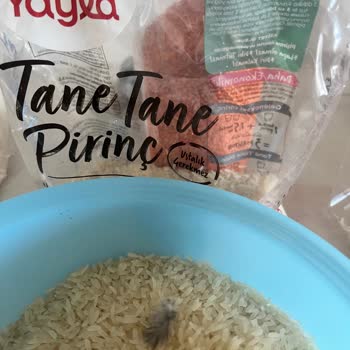 Yayla Pirinç Paketi İçinde Kuş Tüyüne Benzeyen Yabancı Cisim