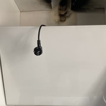 Ferre Davlumbaz Kablosu Patladı, Mutfağımda Yangına Sebep Oldu Ve Servis Cevap Vermedi