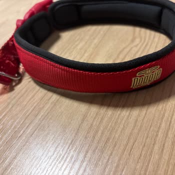 20 Kg Köpek İçin Dayanıklı Olmayan Tasma, Geri Ödeme Ve Değişim Reddi