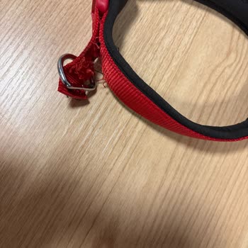 20 Kg Köpek İçin Dayanıklı Olmayan Tasma, Geri Ödeme Ve Değişim Reddi