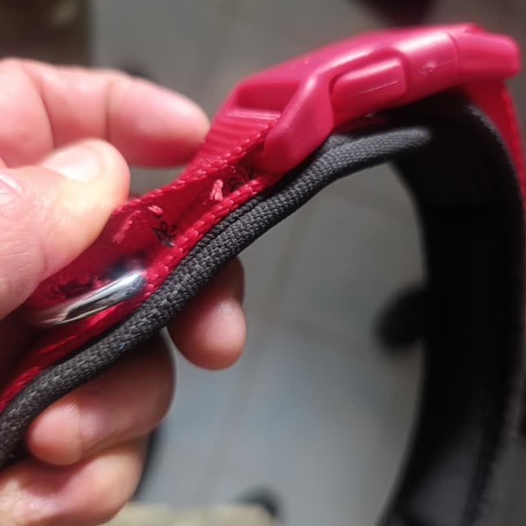 Dört Kullanımdan Sonra Patlayan Köpek Gezdirme Tasma Ve Çaresiz Müşteri Şikayeti