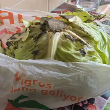 Migros Sanal Market'ten Çürük Lahana Teslimatı Ve Yetersiz İletişim