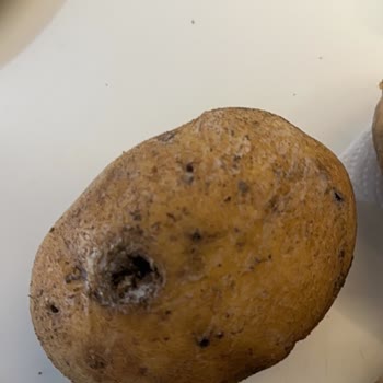 Kırılmış Cam Şişe Ve Kullanılamaz Ürünler İçin Ücret İadesi Talebi