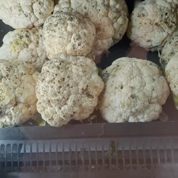 Ağva Hakmar’da Bozulmuş Sebzeler Satışta, Kalite Kontrolü Yok