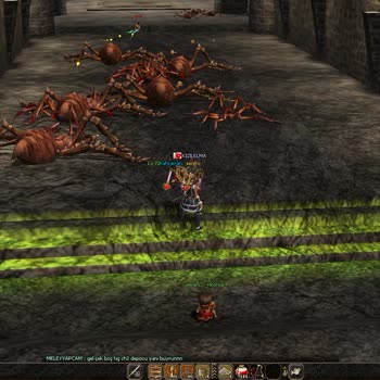 Metin2bilisim.com Emeğimin Karşılığını Alamıyorum