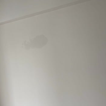 Zorla Teslim Edilen Kalitesiz Dairelerde Küf Ve Tapu Sorunları