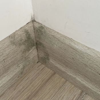 Zorla Teslim Edilen Kalitesiz Dairelerde Küf Ve Tapu Sorunları