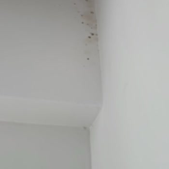 Zorla Teslim Edilen Kalitesiz Dairelerde Küf Ve Tapu Sorunları