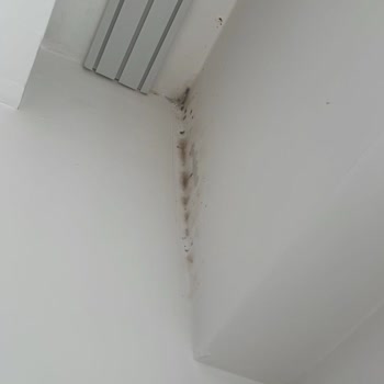 Zorla Teslim Edilen Kalitesiz Dairelerde Küf Ve Tapu Sorunları