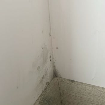 Zorla Teslim Edilen Kalitesiz Dairelerde Küf Ve Tapu Sorunları