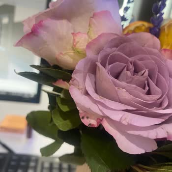 Geciken Teslimat Ve Bozuk Güller Nedeniyle Hayal Kırıklığı