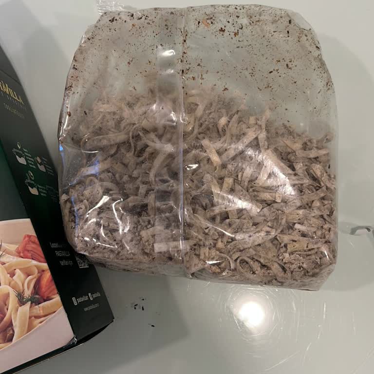 Pastavilla Mantar Ve Böceklenmiş Makarna Ürününde Sağlık Riski