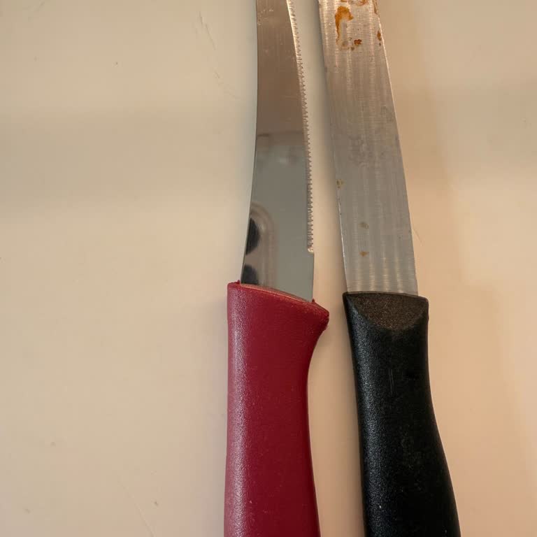 Zwilling Bıçağımda Hızlı Paslanma Ve Ürün Değişimi Talebi