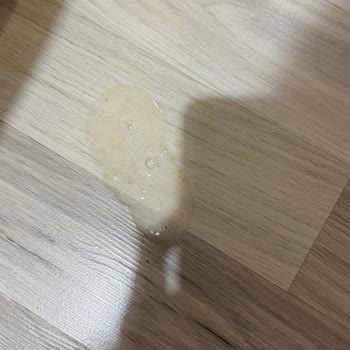 Parazit Aşısı Sonrası Kedimin Zehirlenmesi Ve Veterinerin Sorumluluk Reddi