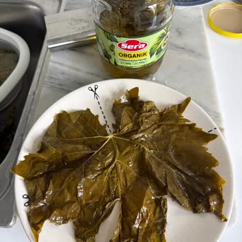 Sera Markasının Salamura Asma Yaprağının Kalitesizliği Ve Tüketicileri Yanıltması