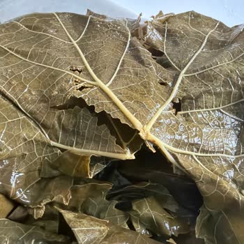 Sera Markasının Salamura Asma Yaprağının Kalitesizliği Ve Tüketicileri Yanıltması