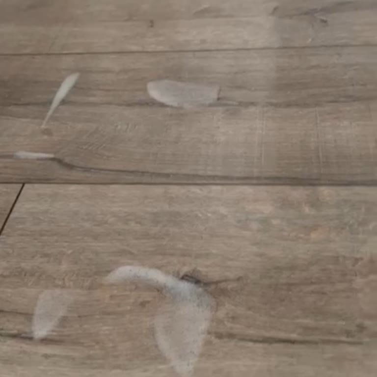 Dyson Scrub Aİ Cihazında Köpük Sorunu Ve İade Reddi