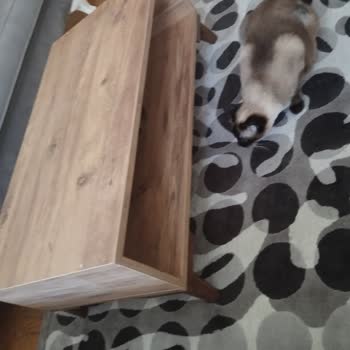 Trendyol’da Ürün Açıklamasıyla Uyuşmayan Sehpa Ve Satıcıdan Cevap Yok