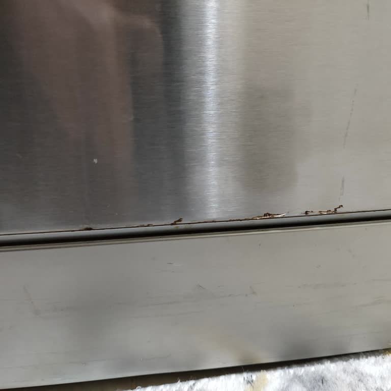 Siemens Bulaşık Makinesi Kapak Paslanması Garanti Dışı Ücretsiz Değişim Talebi