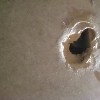 Kanepemin Orta Taşıyıcı Ayaklarındaki Yapısal Hata Ve Garanti Reddine Karşı Ücretsiz Onarım Talebi