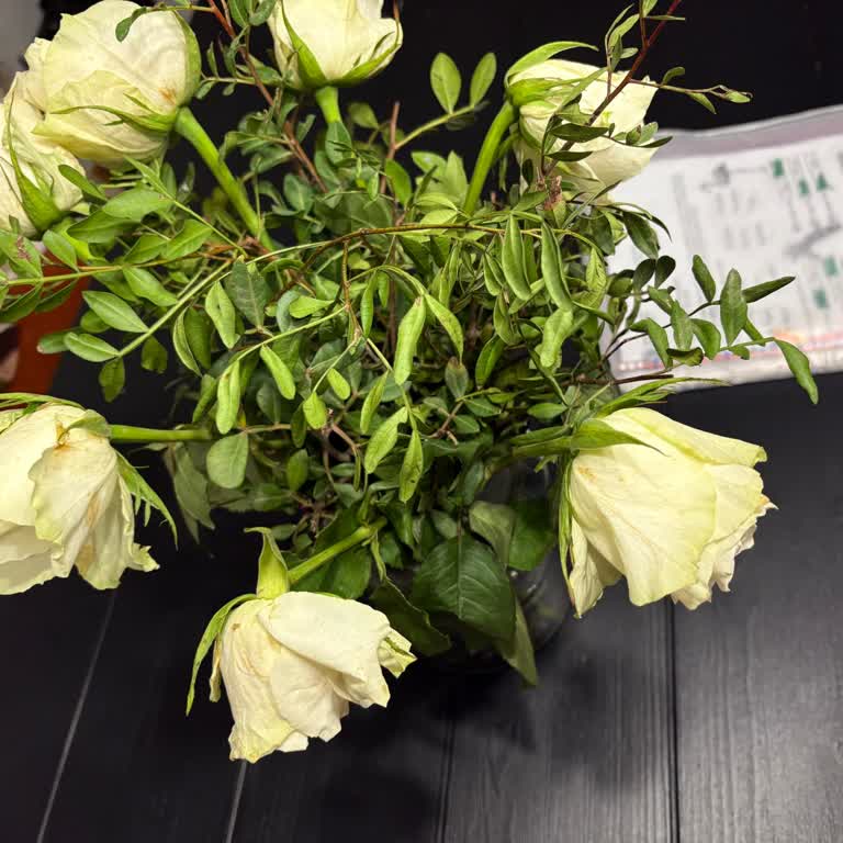 İstanbul Çiçekleri Çiçeği Erken Soldu, Getir İade Yapmıyor