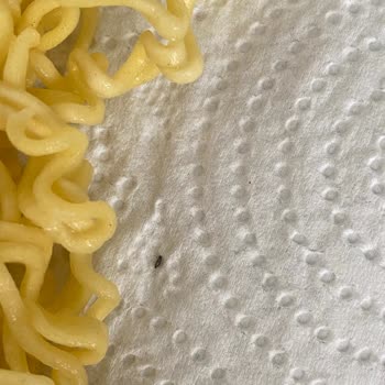 İçinden Böcek Çıkan Indomie Noodle Ürününün İadesi Ve Özür Talebi
