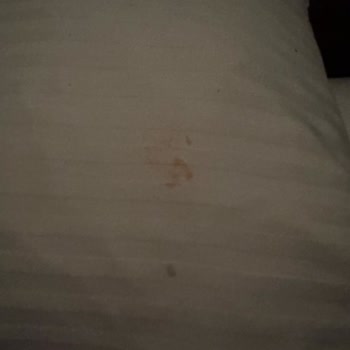 Hijyen Sorunları Ve Sıcak Su Eksikliği Nedeniyle Ücret İadesi Talebi