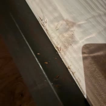 Hijyen Sorunları Ve Sıcak Su Eksikliği Nedeniyle Ücret İadesi Talebi