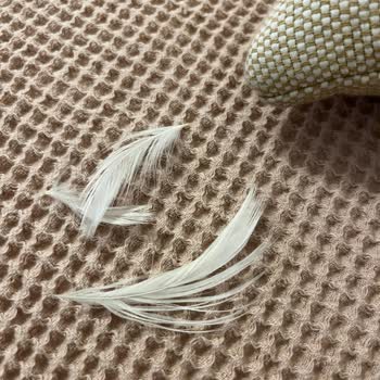 Uyarı Olmadan Ördek Tüyü İçeren Kırlentler Koltuğu Deldi