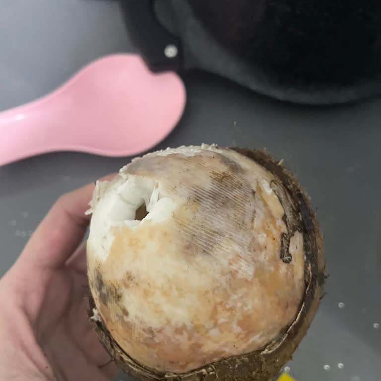 Bozuk Hindistancevizi Ve Cevapsız Müşteri Hizmetleri