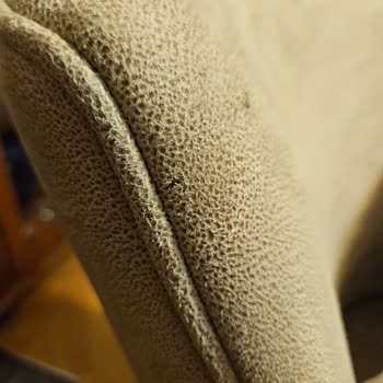 Elegant Sandalyelerde Hızlı Kumaş Bozulması Ve Tepe Home’un Garanti İhlali