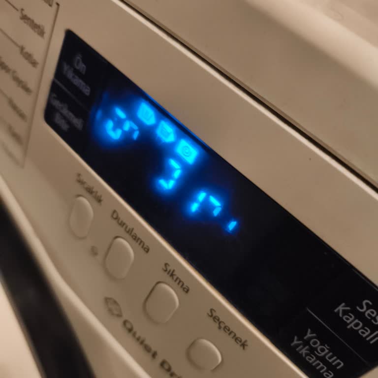 Samsung WF9902 Çamaşır Makinesinde Ekran Sorunu Ve Kullanılamazlık